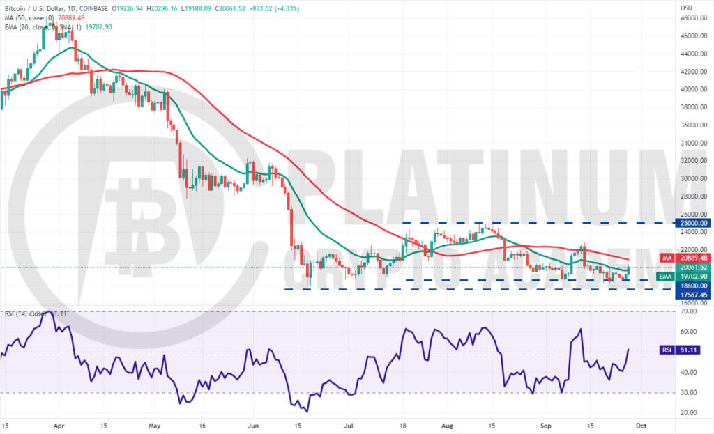 BTC/USD